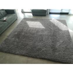super de luxe tapijt, uit winkel Camerich Antwepren