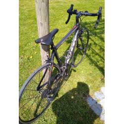Racefiets full carbon Ridley Orion mt 52 (S)