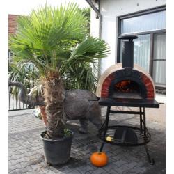 Pizzaoven AMALFI AD 70 Black plain/ nieuwe compacte tuinoven