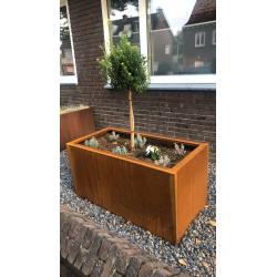 Cortenstaal bloembak / plantenbak
