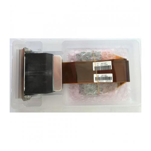 Ricoh Gen5 / 7PL Printhead (AsokaPrinting)