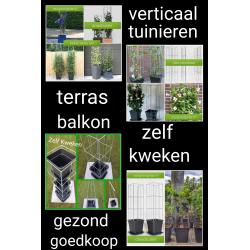 Beplanting langs staanders van een overkapping leiden.