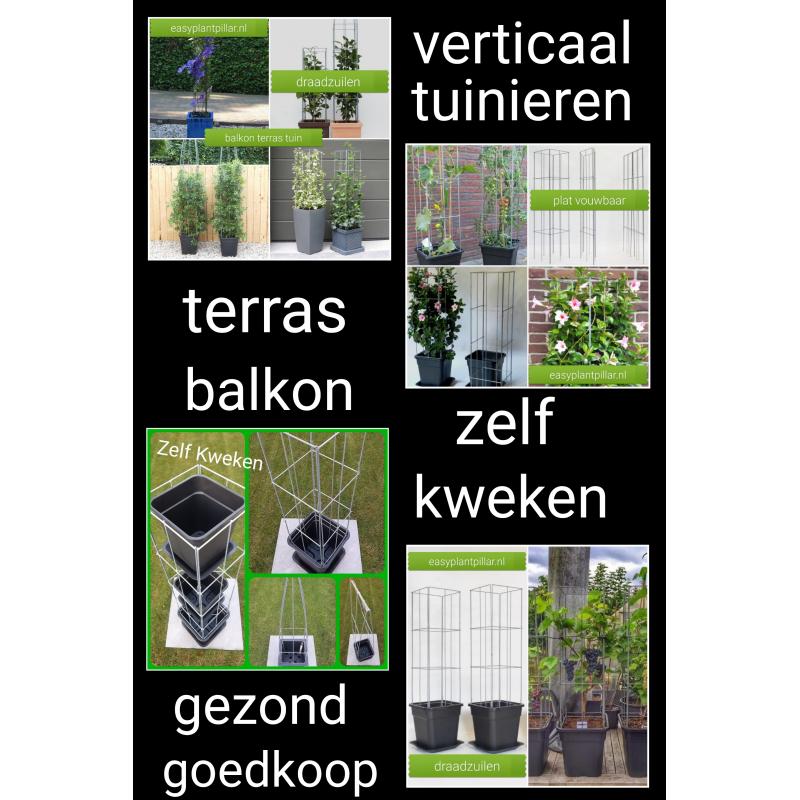 Beplanting langs staanders van een overkapping leiden.