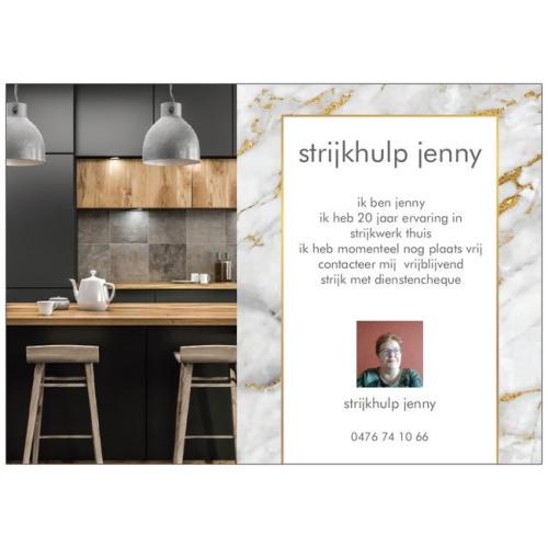 strijkhulp met dienstencheque